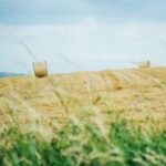 问鼎娱乐H5的更新与版本迭代情况介绍 1cqlt6fz7