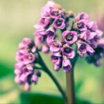 问鼎娱乐app:开启你的游戏之旅,赢取丰厚奖励 9ltyrrhe5