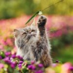 壹号娱乐ng:平台内的社交功能与互动玩法 9r67d