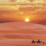 壹号娱乐网页版的未来发展与创新方向 bndwll7ax