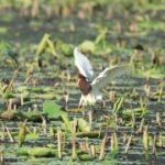 问鼎娱乐app:游戏社区,分享你的游戏心得与技巧 fsalzr9