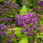 问鼎www:如何选择合适的域名与主机 j3wfkh9hr