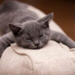 问鼎娱乐H5的安全性:玩家数据保护全解析 lbb01