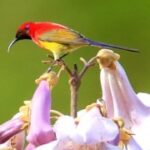 问鼎娱乐app:安全游戏环境,保障你的游戏体验 w7i0e6g8so